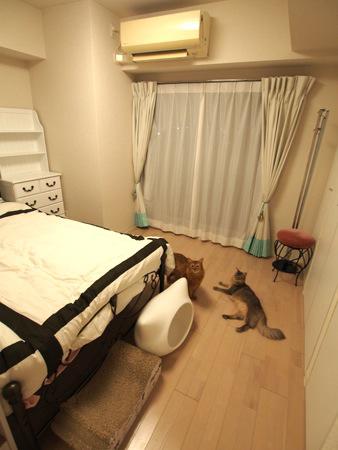 1rでも諦めない 大人2人と赤ちゃんと猫2匹の暮らし お部屋改造計画